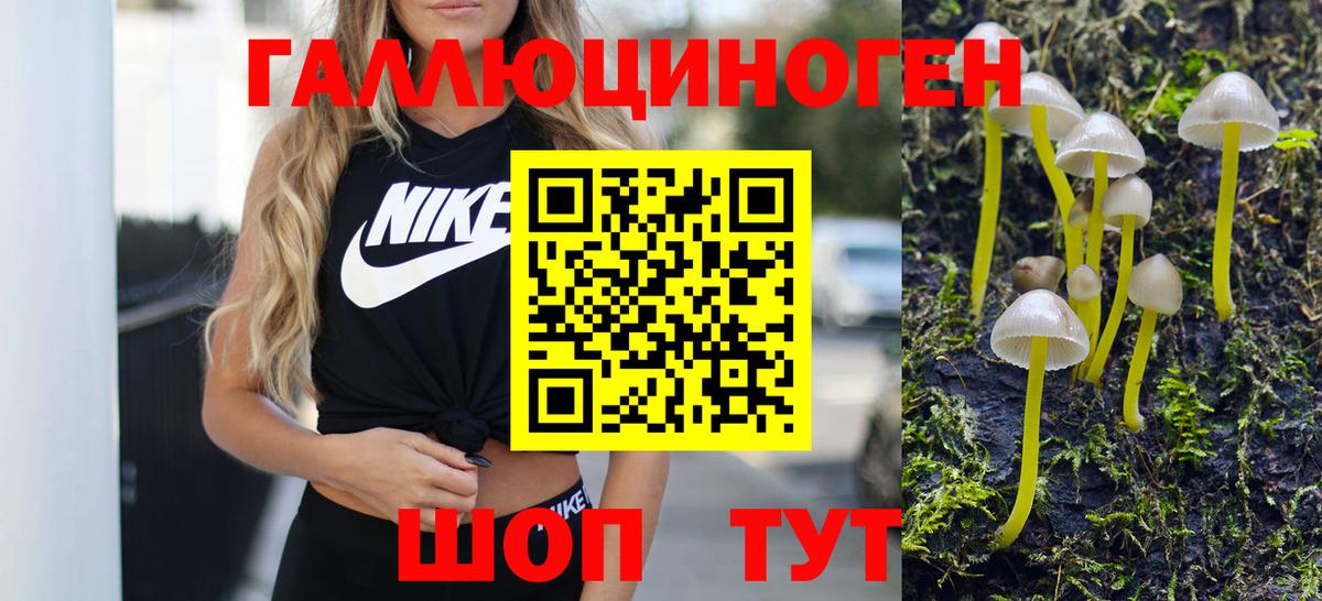 Отрадный  Галлюциногенные грибы Magic Shrooms  Вход с VPN 